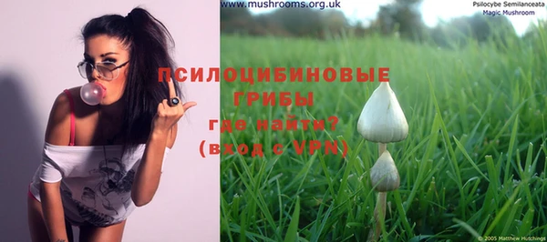 индика Заволжье