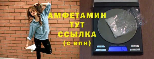 индика Заволжье