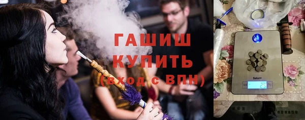 индика Заволжье