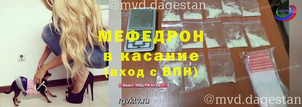 индика Заволжье