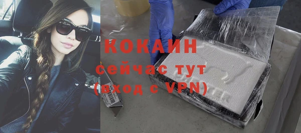 индика Заволжье