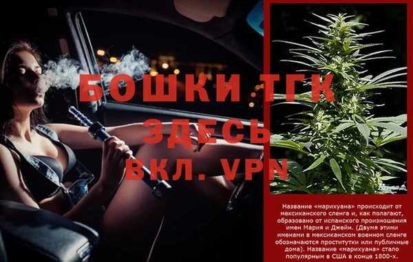 индика Заволжье