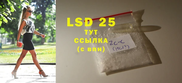 индика Заволжье