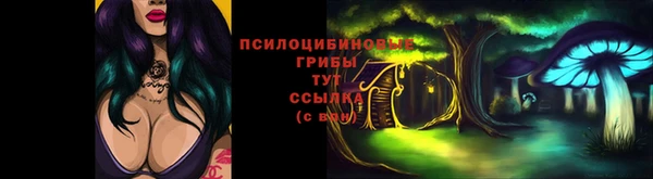 винт Майский