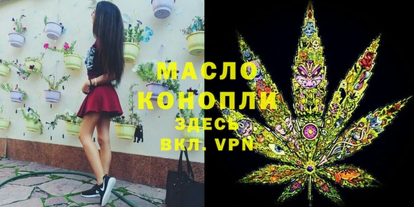 индика Заволжье