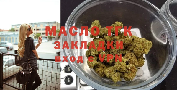 индика Заволжье