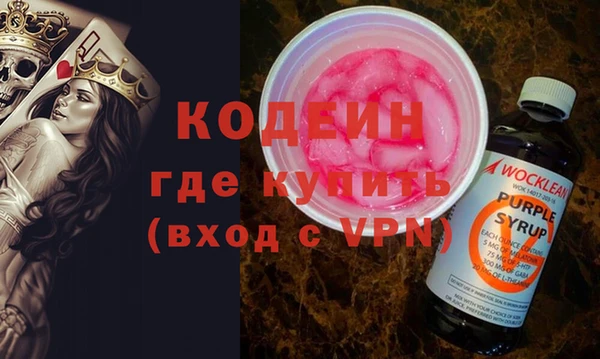 индика Заволжье