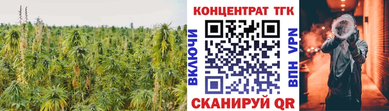 Купить где  Зерноград  ТГК концентрат 